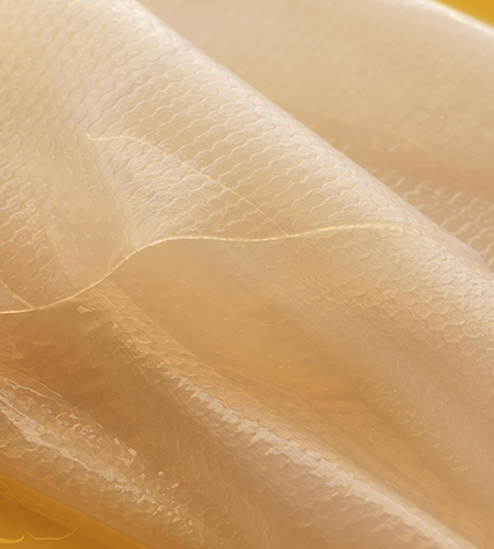 ILLUMINATING BIOCELLULOSE TEXTURE